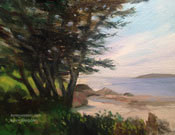 Carmel Bay cypress miniature oil painting