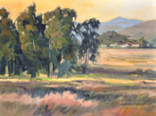San Luis Obispo Los Osos Valley Oil Painting - Eucalyptus Sunset Central Coast Oil Painting