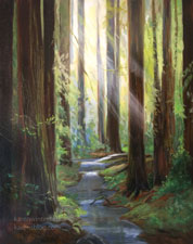 Redwood Creek Oil painting