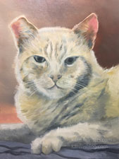 Tiger cat ginger tomcat oil painting pet portrait