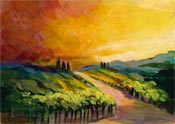 tuscany vineyard italy sunset afternoon warm colors