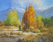 Aspen Sierra Morning Oil Painting near Bishop California High Sierra Oil Painting 16 x 20 vertical, cottonwood trees fall color foliage