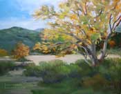 Blustery Day - Eaton Canyon sycamore oil painting