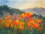 California poppy parade miniature oil painting 6 x 8 inches by California landscape painter karen Winters