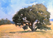 Oak Study, Central Calif. oil painting