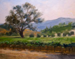 Paso Robles Vineyard Oak oil painting