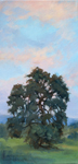 Reaching for the Sunset California Oak painting