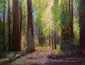 Redwood Grove Oil Painting - Redwood Cathedral Armstrong Redwoods Oil painting by Karen Winters