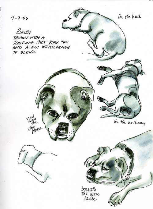 The straight-on face was from her doghouse - she moved before I could draw The straight-on face was from her doghouse - she moved before I could draw