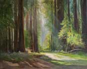 Trail of the titans California Coastal Redwoods Painting - Muir Woods
