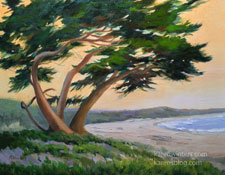 Windblown Cypress on the Bay 11 x 14 oil painting