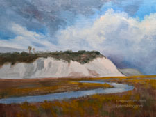 Newport Back Bay Bluff wetlands oil painting