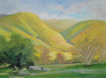 California Wildflower Hills Painting