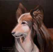 Collie pet portrait oil painting commission by Karen Winters