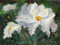 Matilija Poppies Fried Egg Plant White Flower California Native Plant Oil Painting