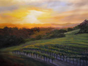 Paso Robles Vineyard Sunset Highway 46 Grapevines oil painting