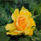 Yellow Rose miniature oil painting