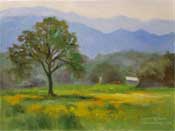 Spring Oak Morning Miniature oil painting 6 x 8 inches