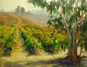 vineyard oil painting with eucalyptus tree