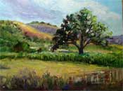 vineyard oak oil painting