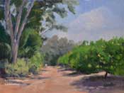 Windy Grove oil painting Orange Grove Eucalyptus painting 9 x 12 oil painting on canvas by Karen Winters