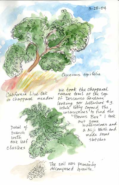 oak-chapparal
