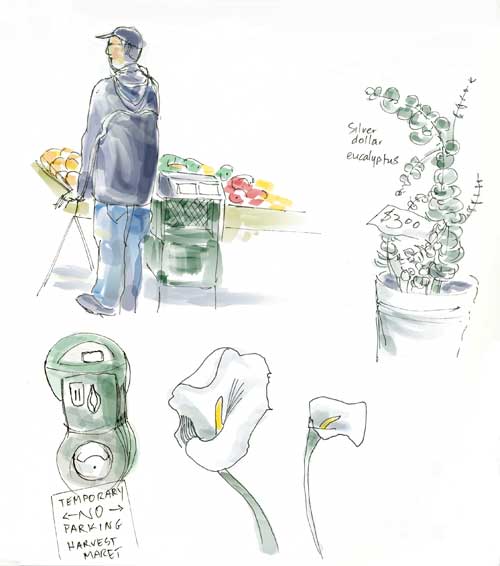 vendor-calla